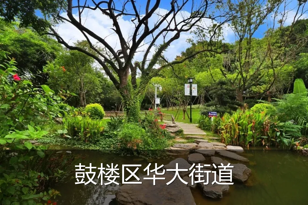 鼓楼区华大街道
