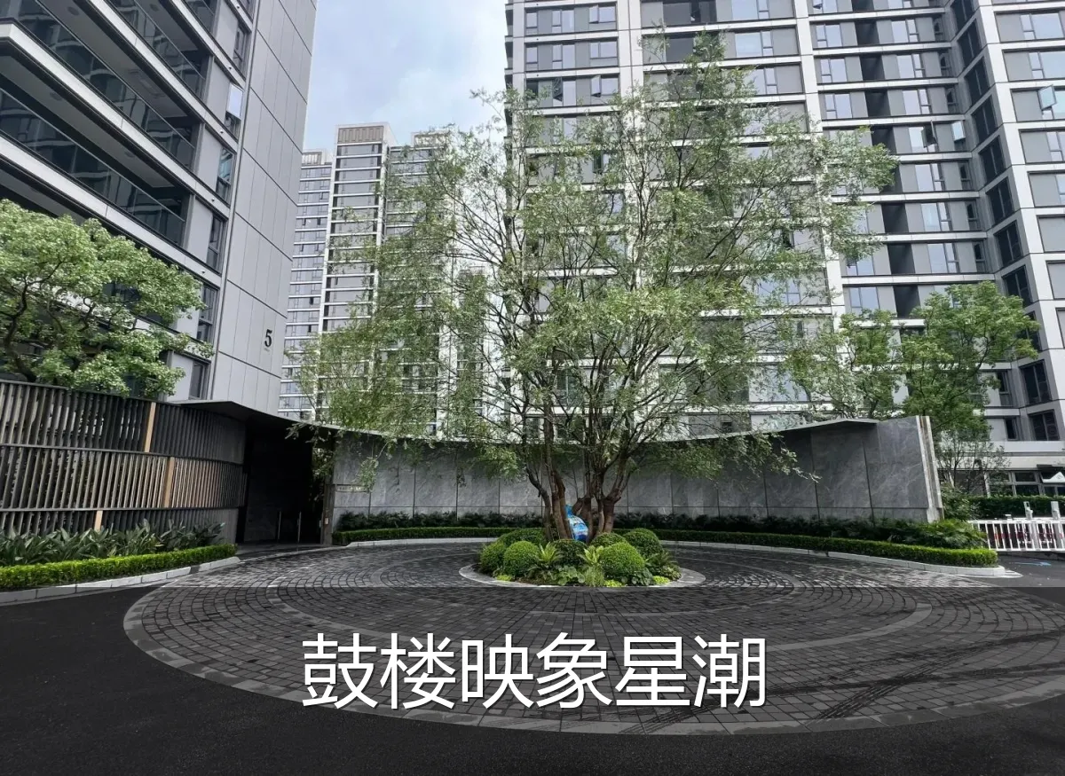 鼓楼映象星潮